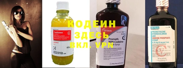 индика Баксан