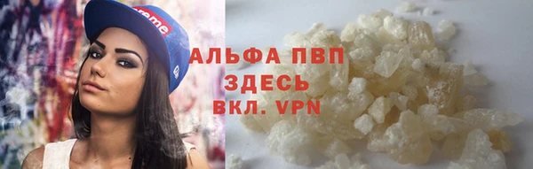 индика Баксан