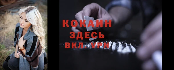 индика Баксан