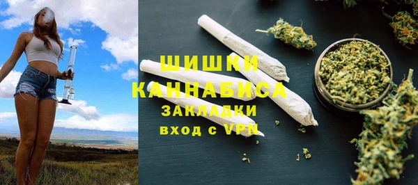 индика Баксан